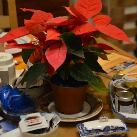 Frühstückspension Etna Hiking